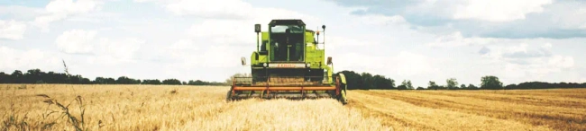 Featured image for Graduate careers advice: you and your agricultural degree